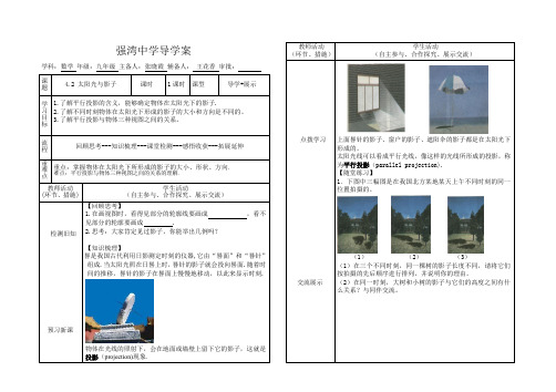 (新北师大)4.2太阳光与影子