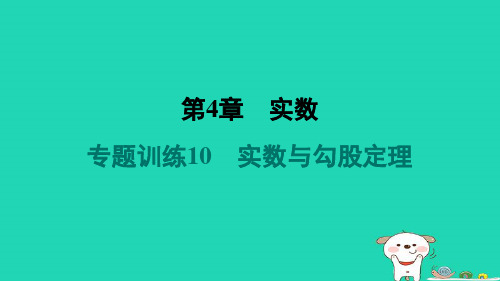 八年级数学上册第4章实数专题训练10实数与勾股定理习题课件新版苏科版