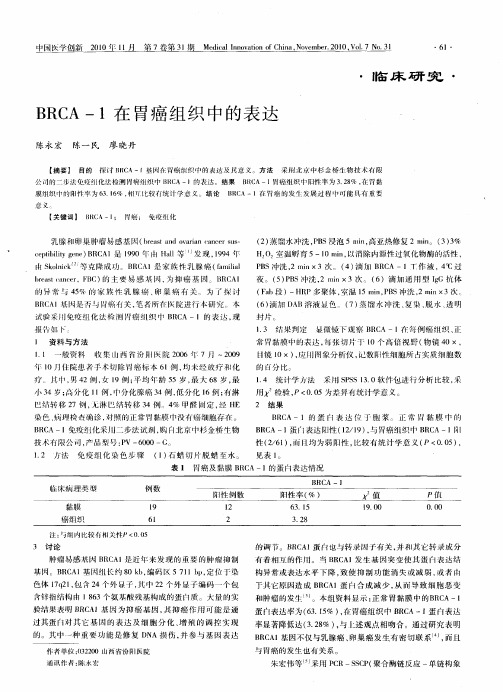 BRCA-1 在胃癌组织中的表达