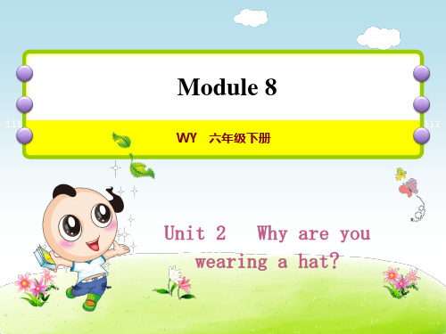 外研版小学英语六年级下册 Module8 Unit2 Why are you wearing a hat 教学课件PPT