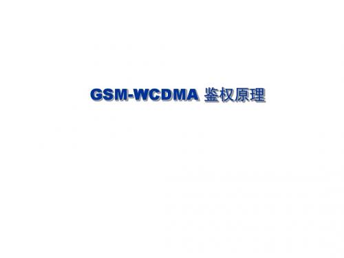 GSMWCDMA鉴权原理OK汇总