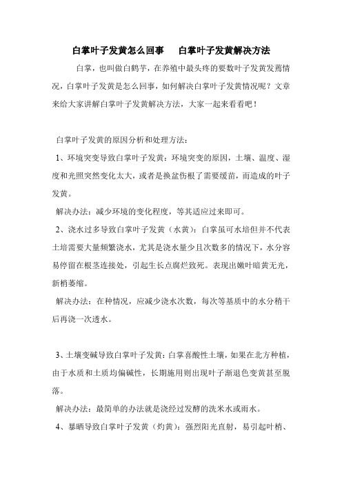 白掌叶子发黄怎么回事   白掌叶子发黄解决方法.doc