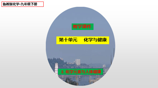 10-2化学元素与人体健康课件-2022-2023学年九年级化学鲁教版下册