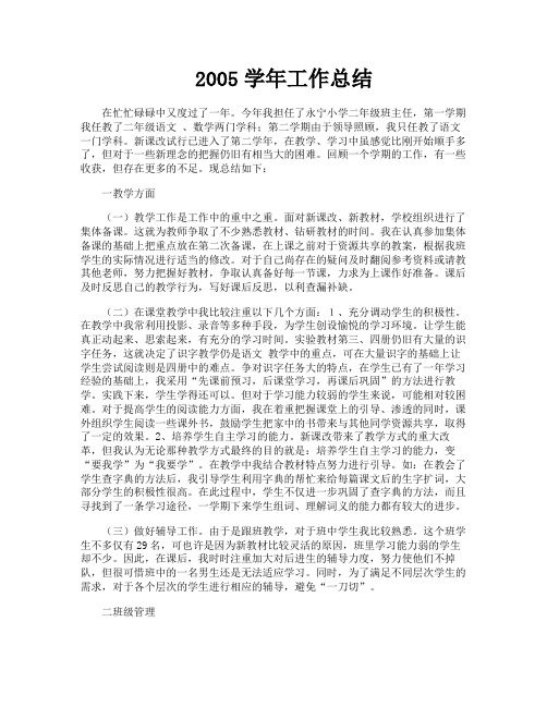 2005学年工作总结