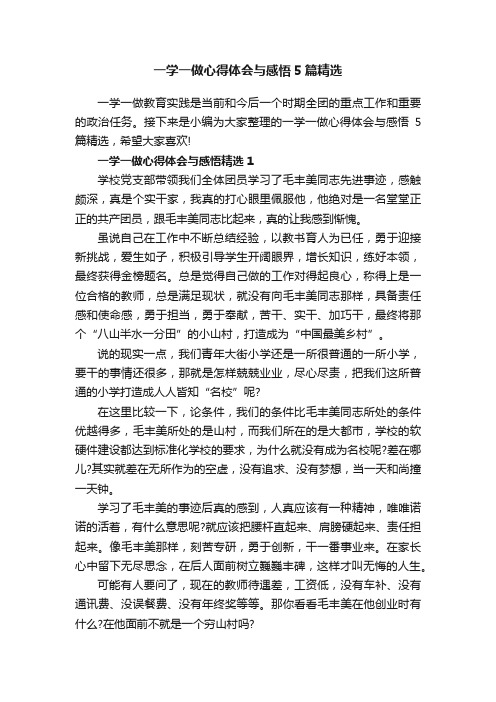 一学一做心得体会与感悟5篇精选