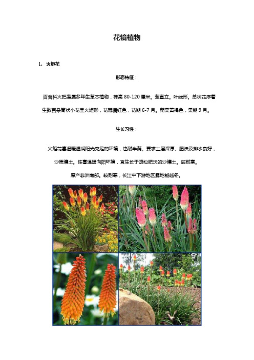 100种花境植物,有解析和图片