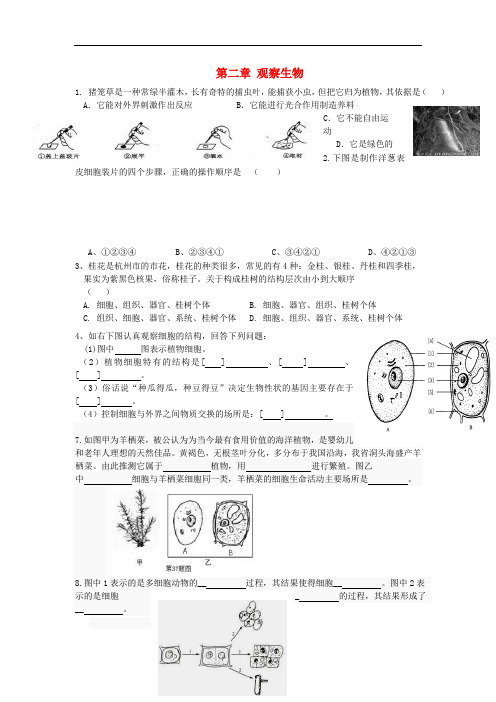 七年级科学上册 第二章《观察生物》测试题1(无答案) 浙教版