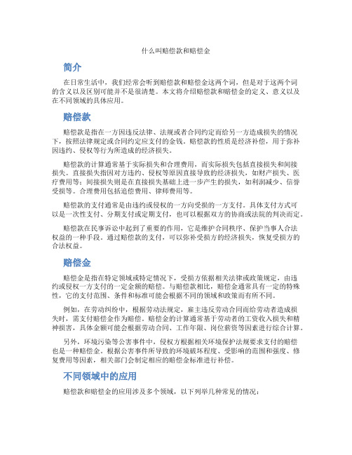 什么叫赔偿款和赔偿金