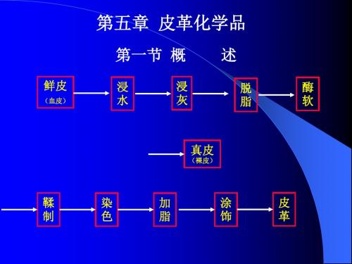 第五章 皮革化学品.