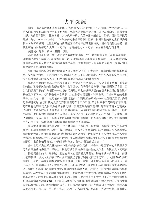 犬的起源