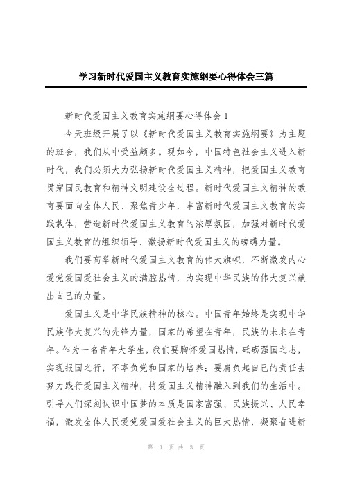 学习新时代爱国主义教育实施纲要心得体会三篇