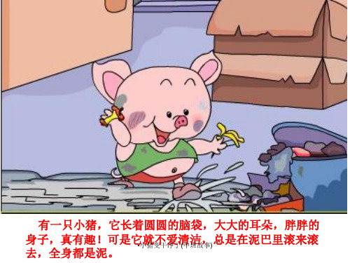 小猪变干净了中班故事经典实用