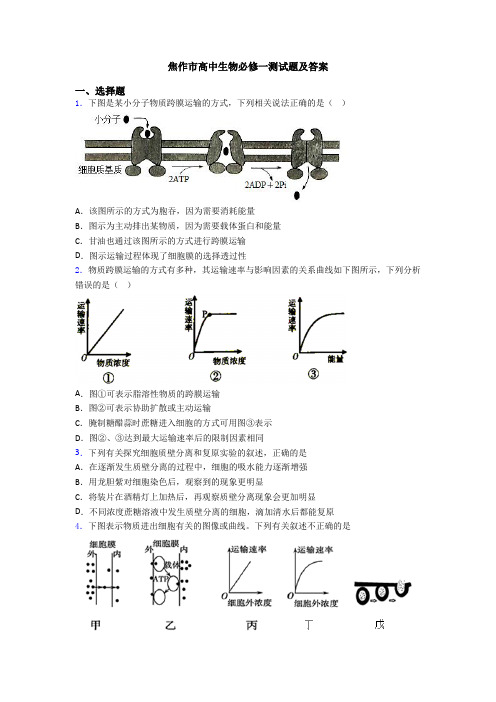 焦作市高中生物必修一测试题及答案