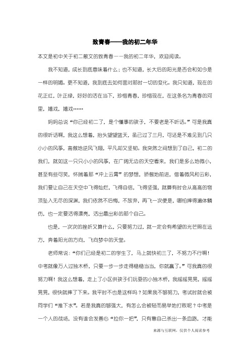 初二散文：致青春——我的初二年华