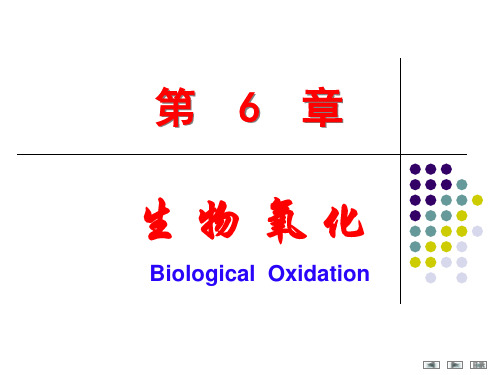 生物氧化