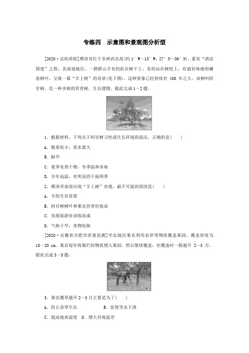 统考版2021高考地理二轮复习专练四示意图和景观图分析型含解析.doc