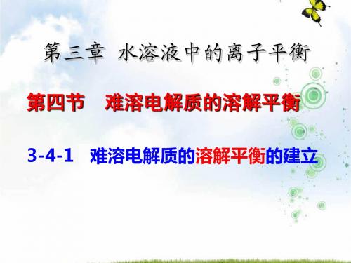 人教版高中化学选修四课件：3.4难溶电解质的溶解平衡