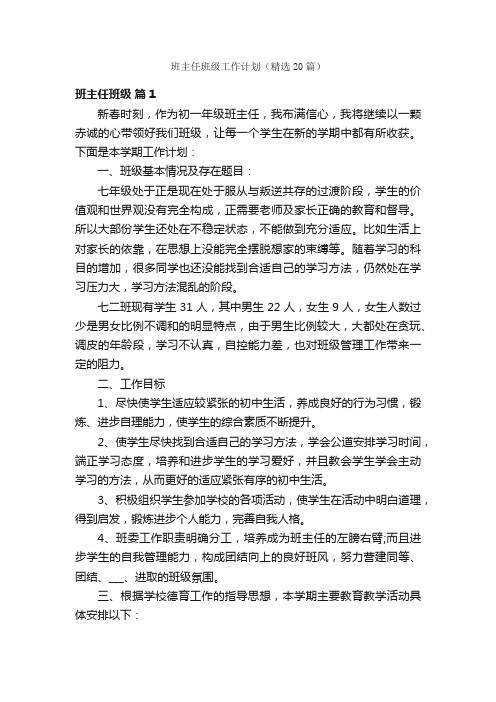 班主任班级工作计划（精选20篇）