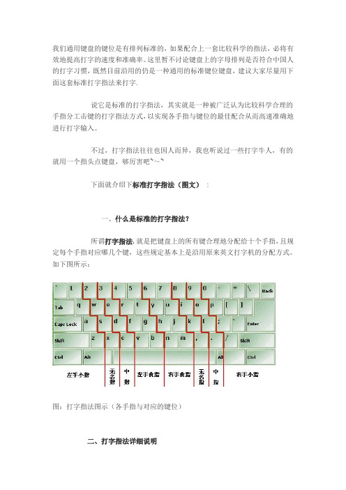 快速打字正确的标准指法(附图)