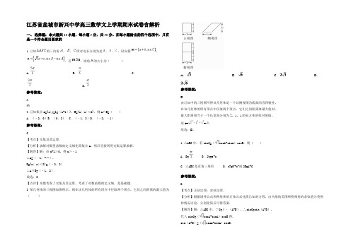 江苏省盐城市新兴中学高三数学文上学期期末试卷含解析