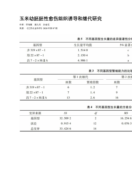 玉米幼胚胚性愈伤组织诱导和继代研究