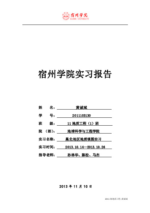 巢北地区地质填图实习