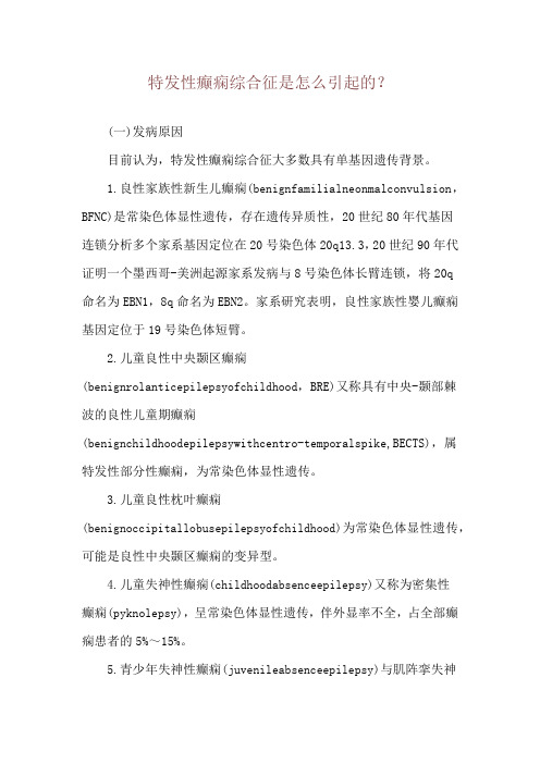 特发性癫痫综合征是怎么引起的？