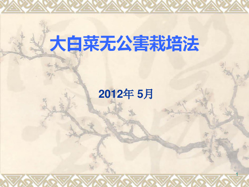 大白菜无公害栽培(教学)PPT课件