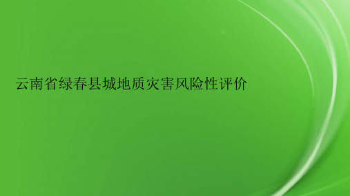 云南省绿春县城地质灾害风险性评价