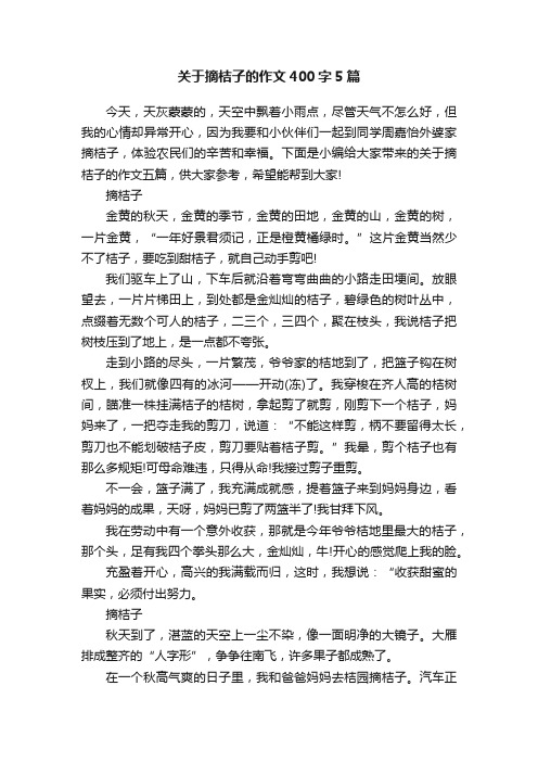 关于摘桔子的作文400字5篇