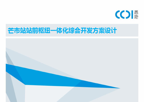 芒市站站前枢纽一体化综合开发方案设计