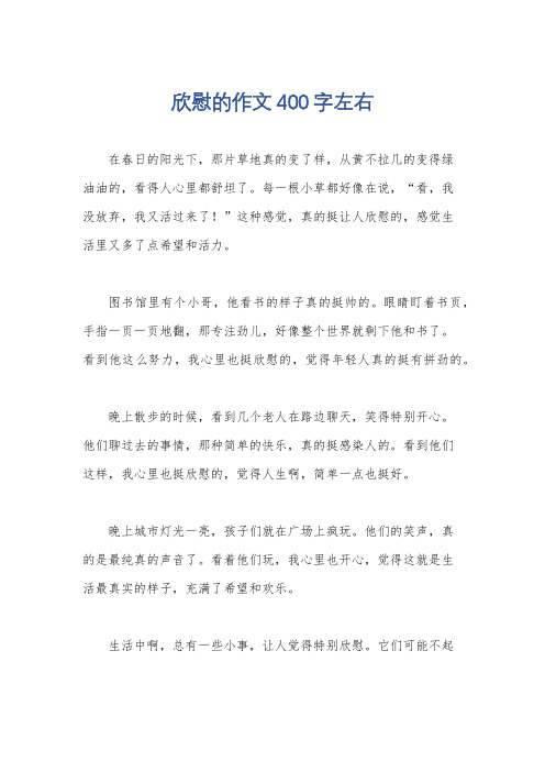 欣慰的作文400字左右