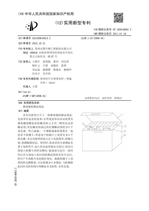 淋球菌检测试剂盒[实用新型专利]