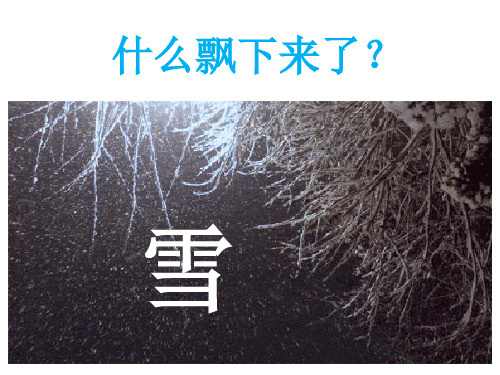 一年级下册美术课件-1.雪｜苏少版 (共40张PPT)