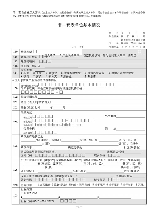 非一套表企业法人套表企业法人单位执行企业会计制度