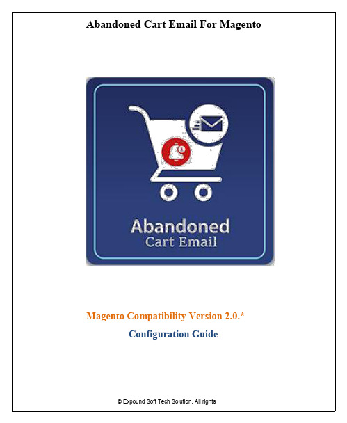 Abandoned Cart Email for Magento 2.0.  配置指南说明书