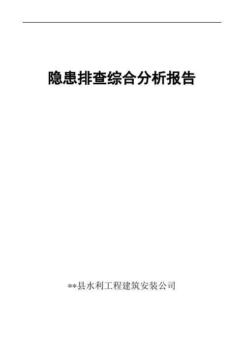 水利工程隐患排查综合分析报告