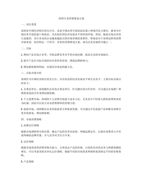 深圳专业营销策划方案