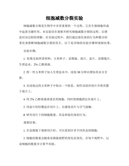 细胞减数分裂实验