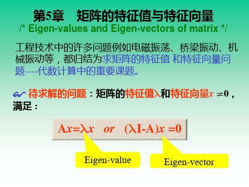 第5章矩阵特征值和特征向量