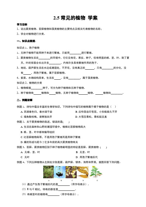 2 常见的植物 学案 浙教版七年级上册科学