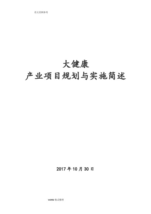 大健康产业项目规划和实施简述