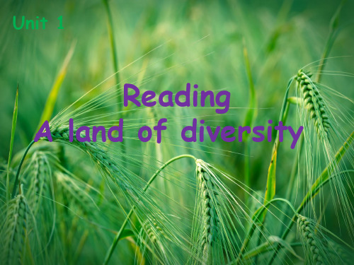 Unit1 A land of diversity课件 新人教版选修8课件