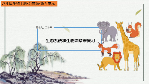 苏教版生物八上 第十九、二十章  生态系统和生物圈(单元重难点梳理)(共35张PPT)