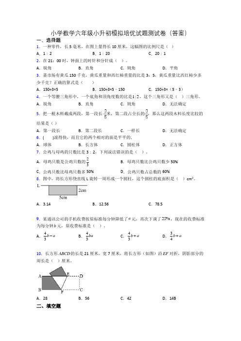 小学数学六年级小升初模拟培优试题测试卷(答案)