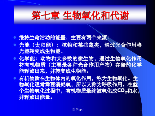 自考医学类工程心理学复习笔记第4章