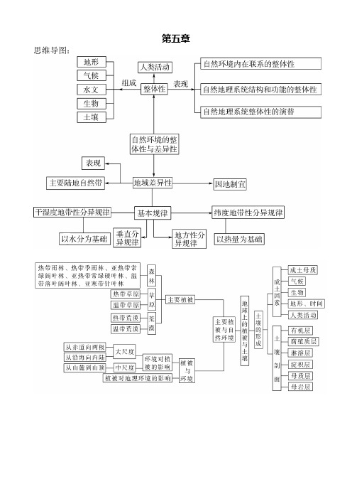 2024届高三地理一轮复习讲义+地理环境的整体性与差异性