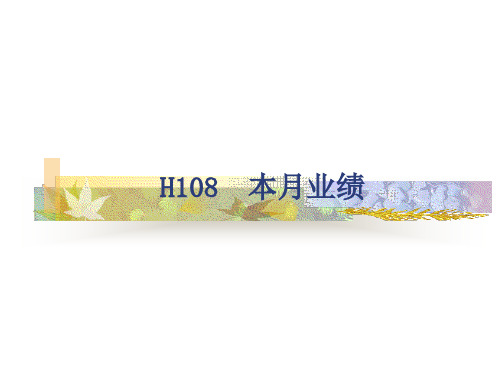 H108报表