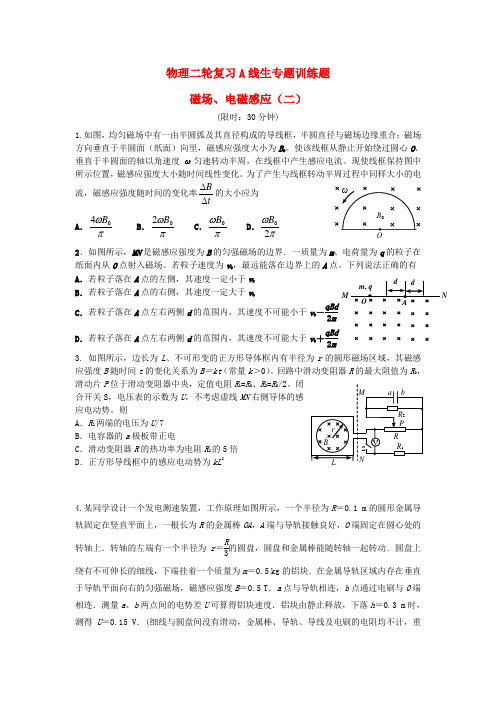 四川省宜宾市南溪区第二中学校高考物理 专题训练 磁场、电磁感应(二)