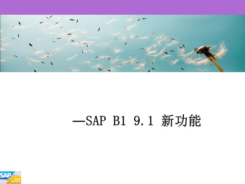 SAPB191新功能介绍